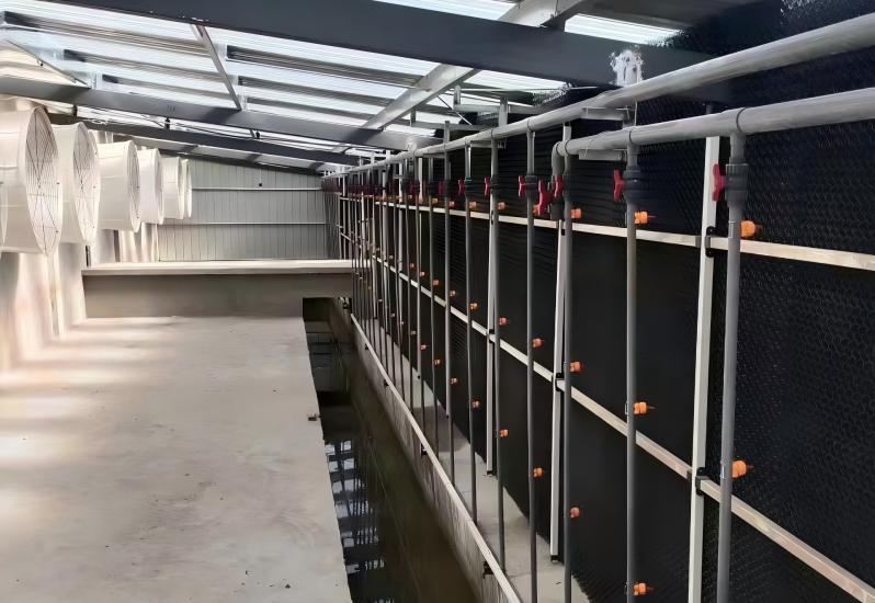 45公分除臭墙工程案例